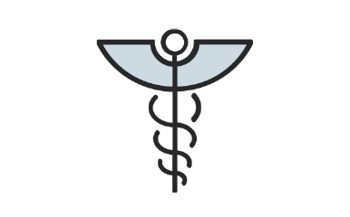 Healthcare Icon